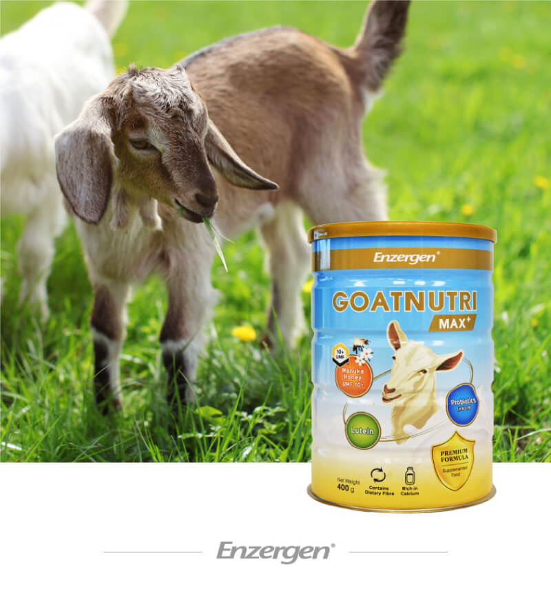 Goatnutri MAX goat milk powder with Manuka honey probiotics and lutein